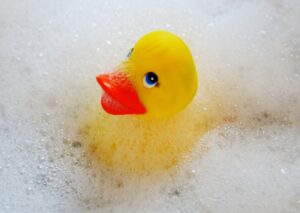 to bathe, duck, bath accessories-2454609.jpg